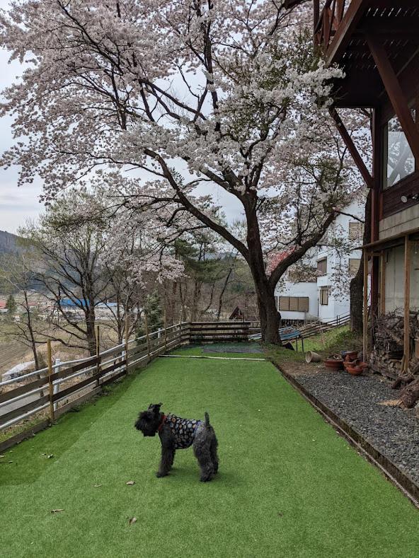 Hotel ワンコと泊まるジャスミンクリーク Toyooka  Exteriér fotografie